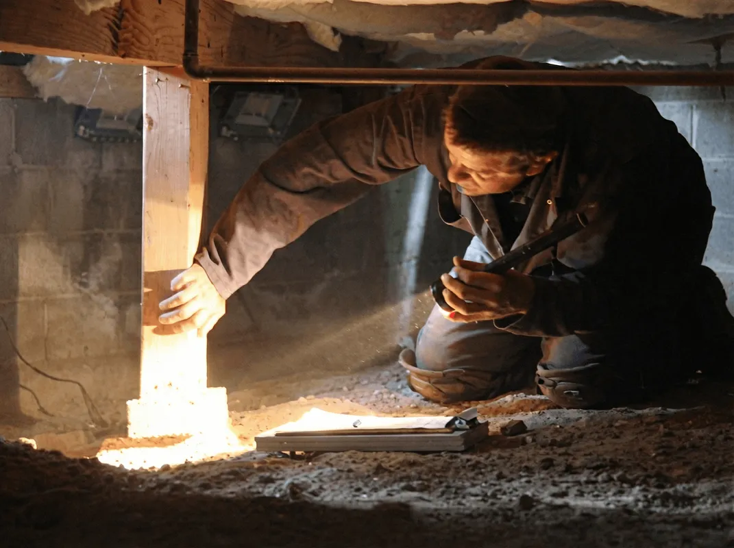 A professional inspecting wooden beams under the floor of a structure in Newark, NJ